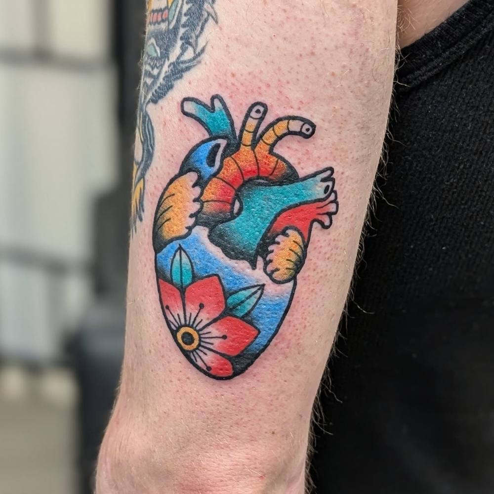 Colourful anatomical heart