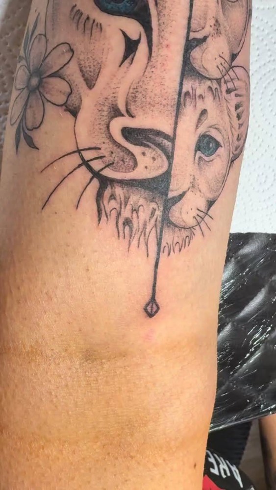 Half lion, half cub portrait, by Emily