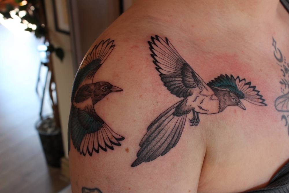 Two magpies across a back