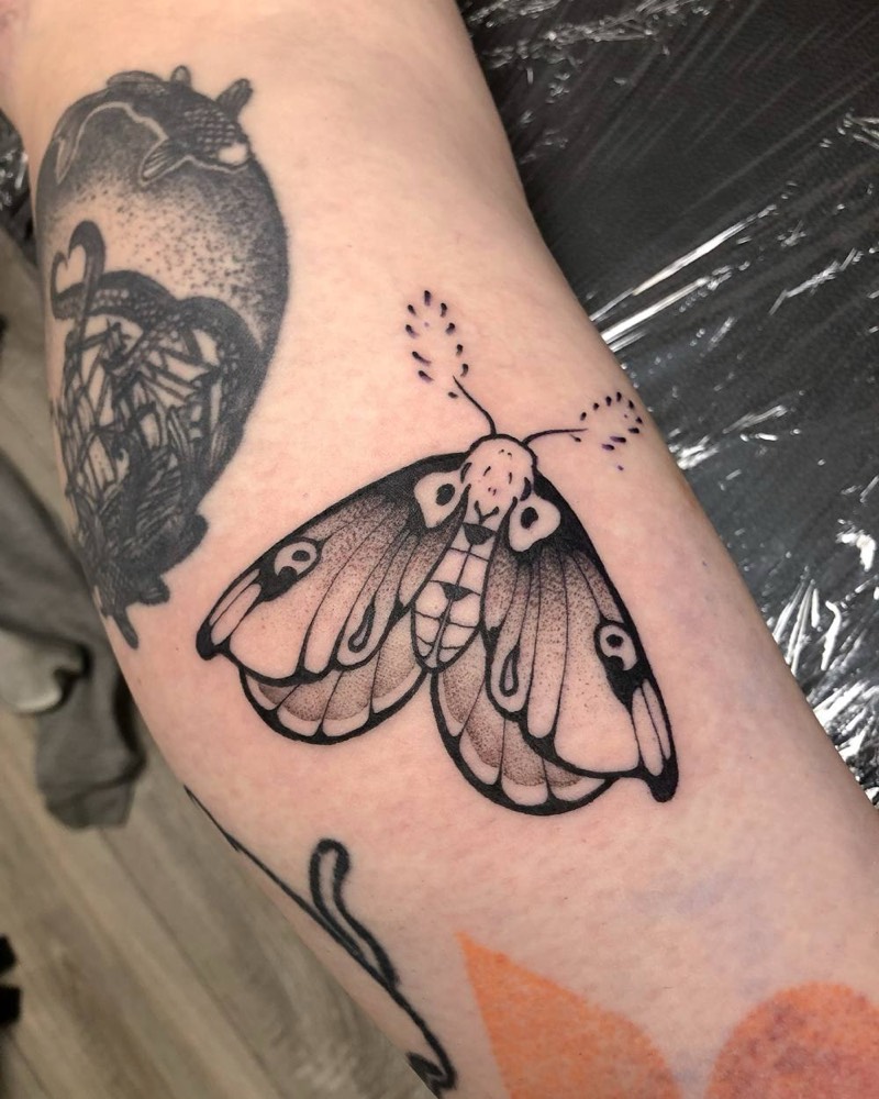 Moth with dotwork wings
