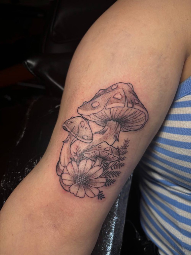 Lily on a forearm