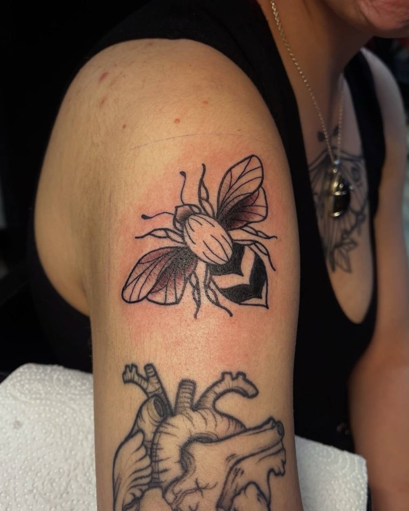 Bee and anatomical heart